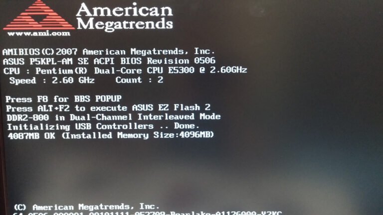 How to Get Past Bios Screen