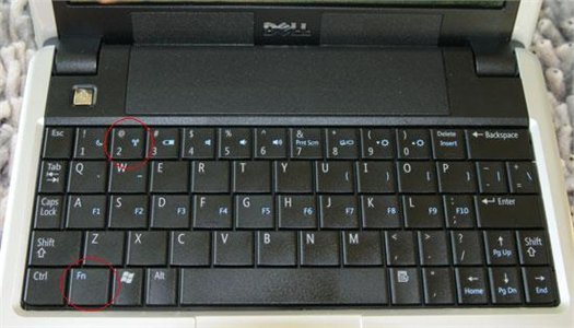 How to Turn on Wireless Capability on a Dell Laptop