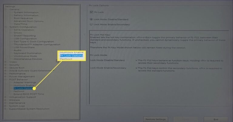 How to Enable F Keys on Dell Laptop